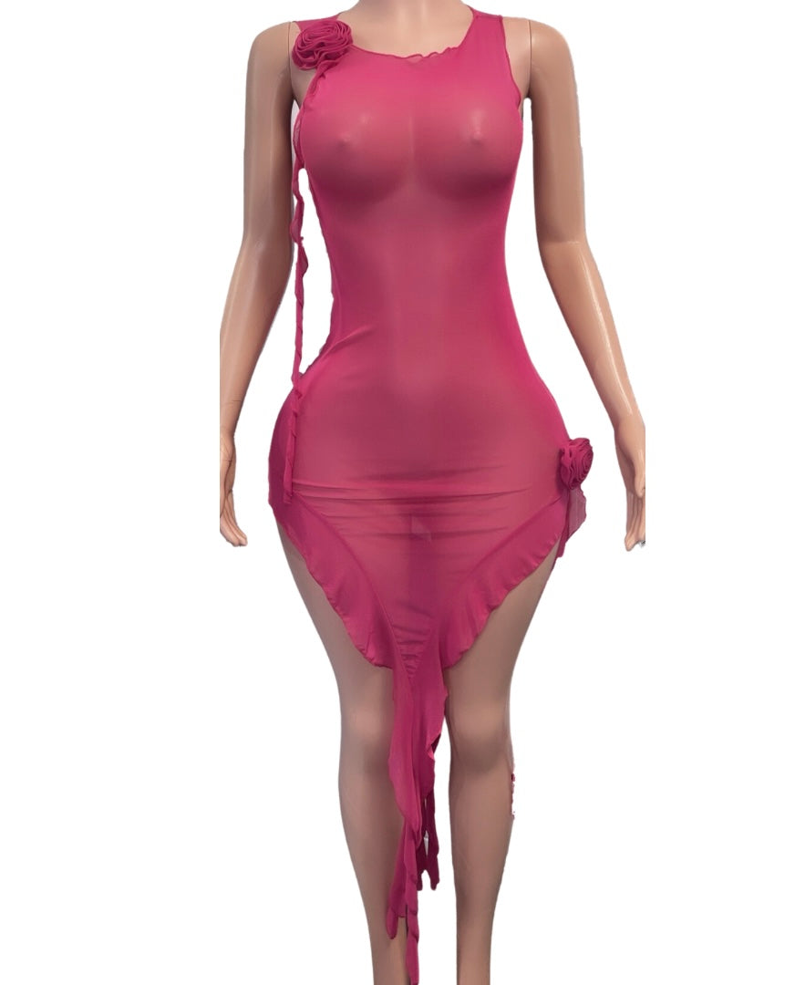 Call Me Rose Sheer Dress